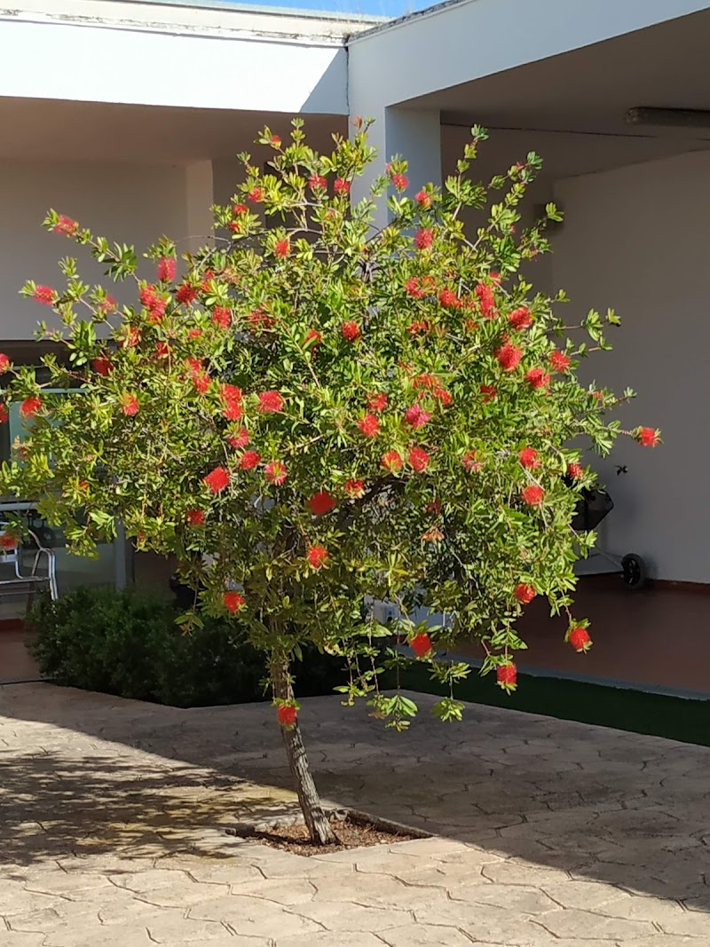 Centro de día para mayores de la Residencia para mayores Alkama — foto 6