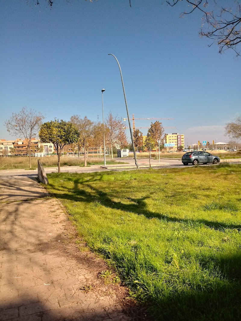 Centro de día para mayores de la Residencia para mayores Alkama — foto 7