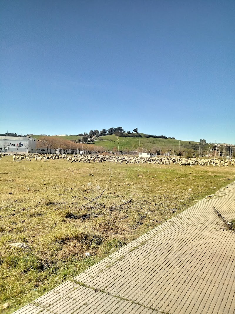 Centro de día para mayores de la Residencia para mayores Alkama — foto 9