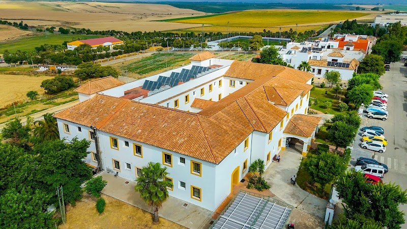 Centro de día para mayores Vitalia La Campana