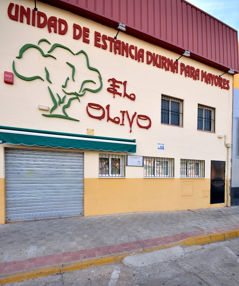 Centro de día para mayores El Olivo — foto 4