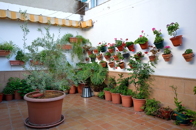 Centro de día para mayores El Olivo — foto 5