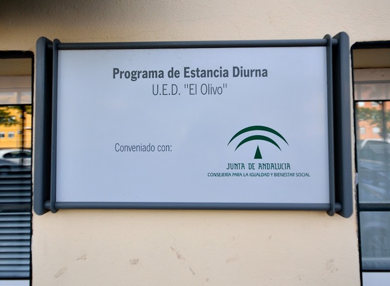 Centro de día para mayores El Olivo — foto 9