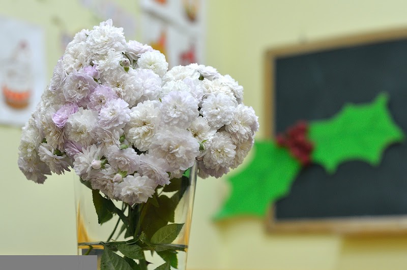 Centro de día para mayores El Olivo — foto 10