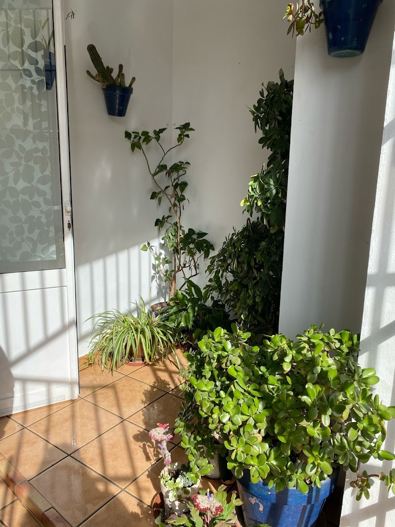 Centro de día para mayores de Salteras — foto 4