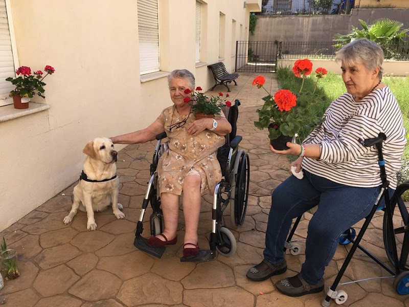 Centro de día para mayores Joaquín Rosillo — foto 7