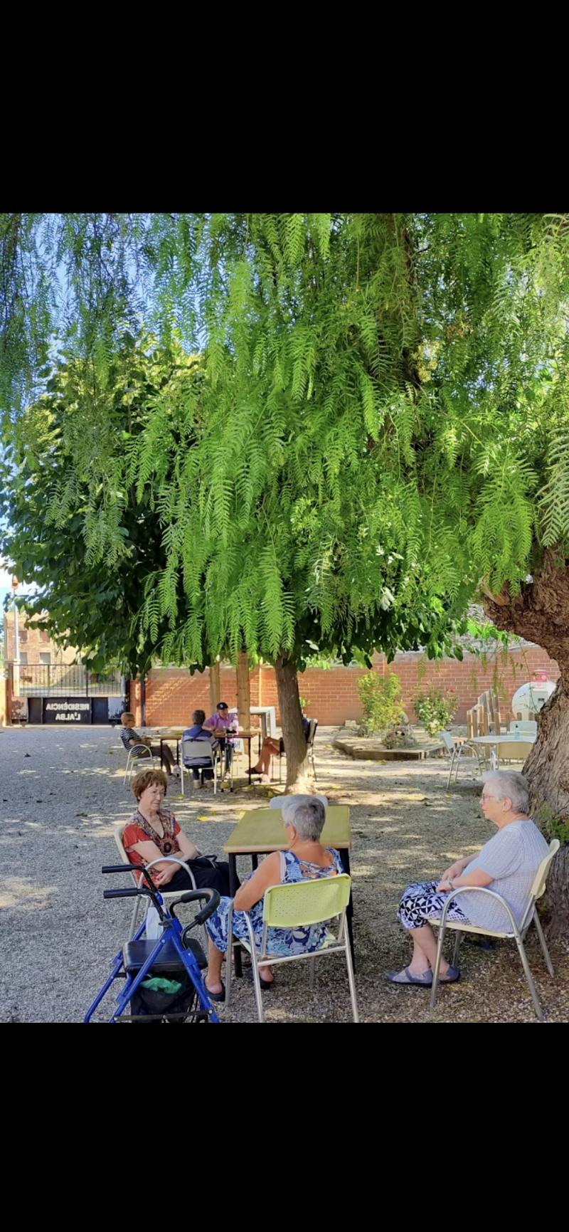 Centre de dia Alba — foto 5