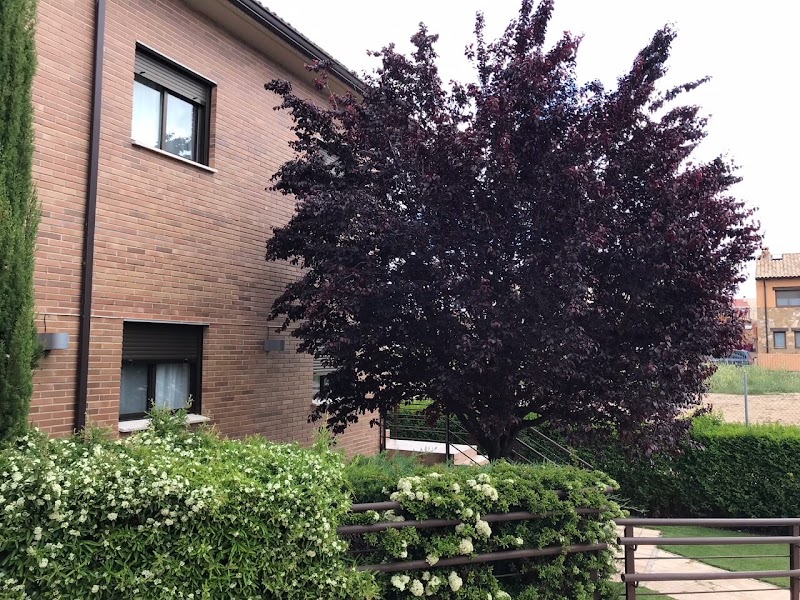 Centro de día de la Residencia tercera edad Virgen de los Olmos — foto 9