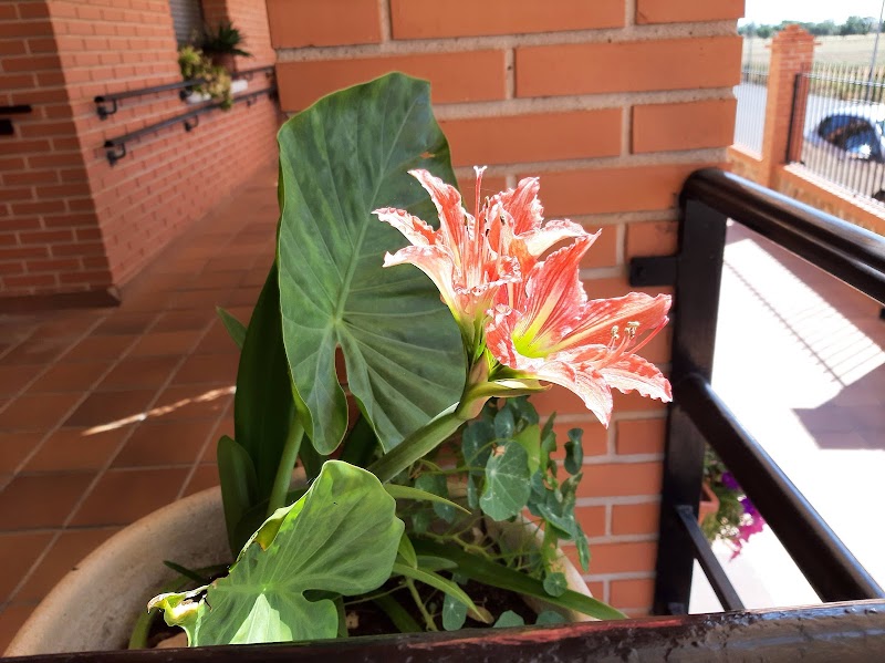 Centro de día Nuestra Señora de la Paz — foto 10