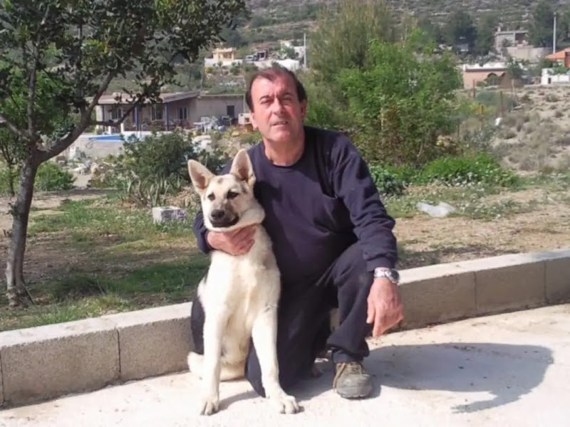 Servicio de estancia diurna de la Residencia Savia Cheste — foto 3