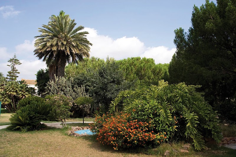 Centro de dia Novaedat Picanya — foto 9