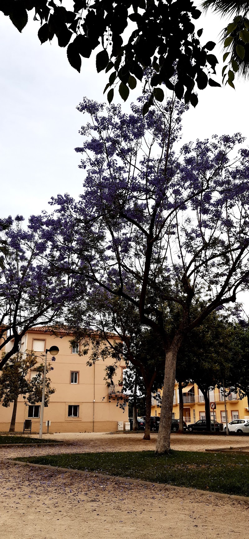 Centro de día de la Residencia Tercera Edad de Puçol — foto 2