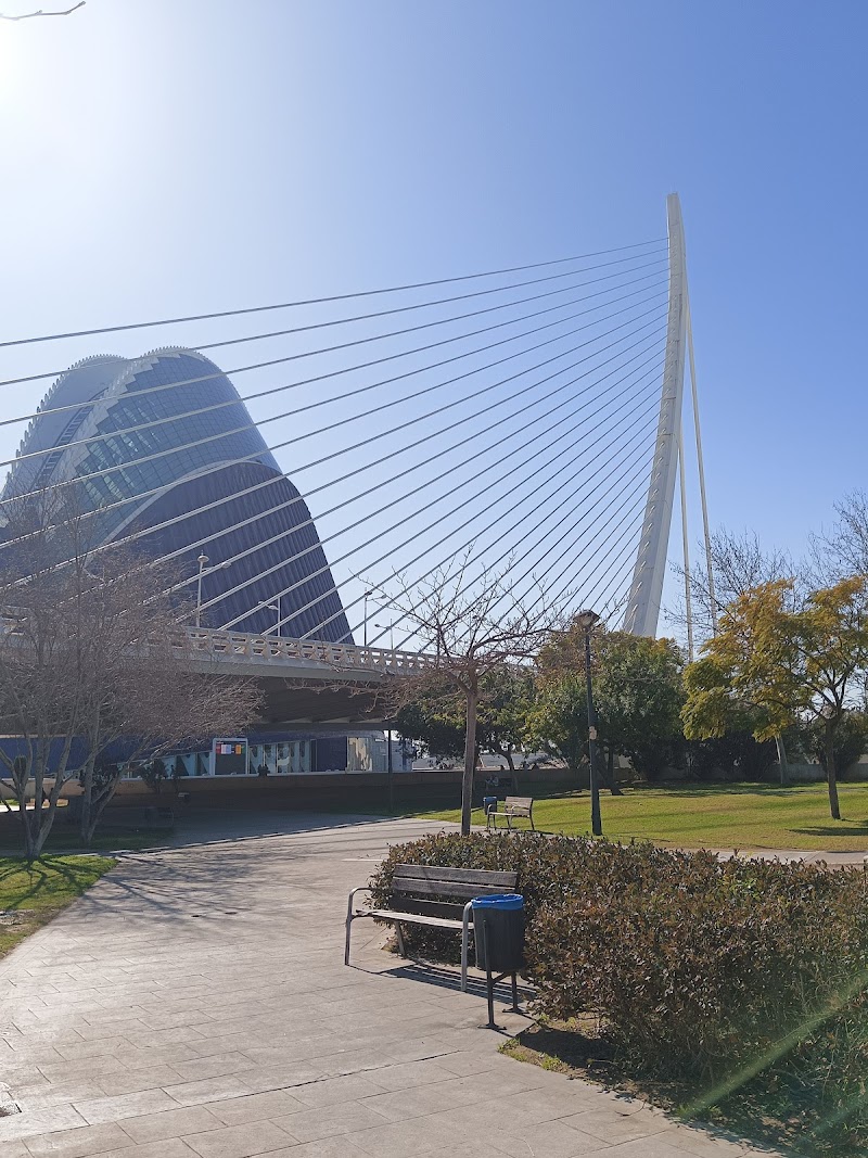 Centro de día GeroGarden — foto 3