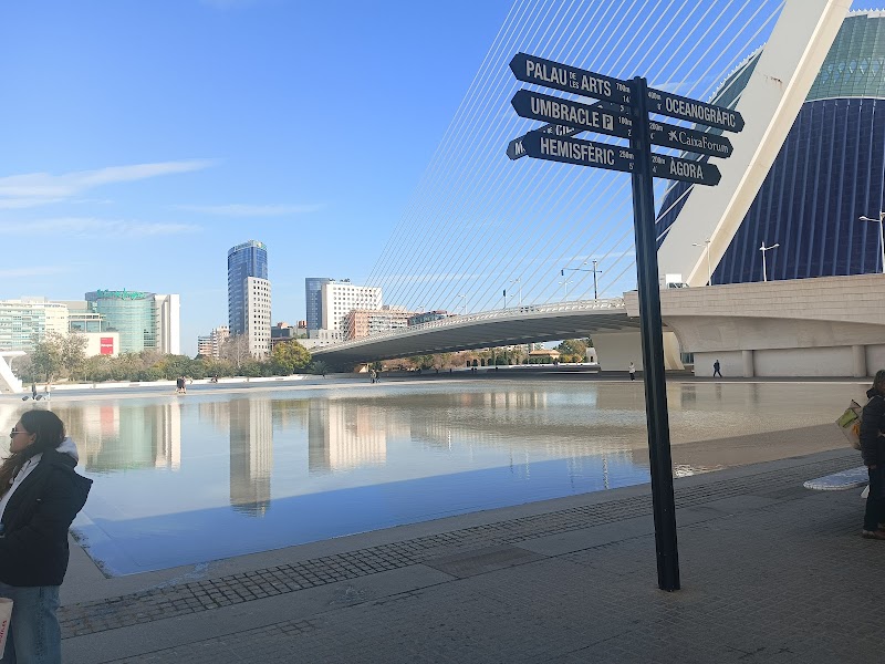 Centro de día GeroGarden — foto 4