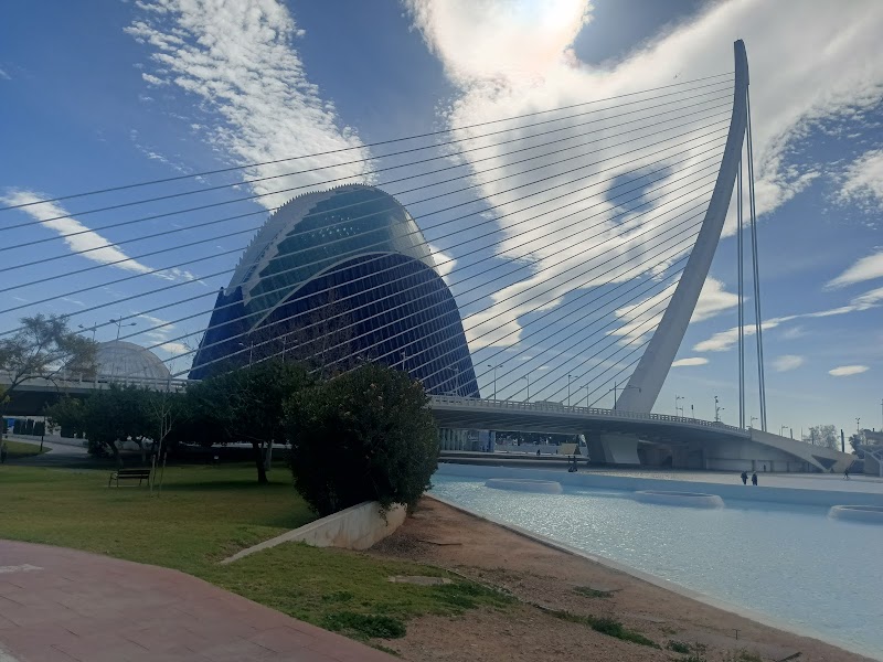 Centro de día GeroGarden — foto 5