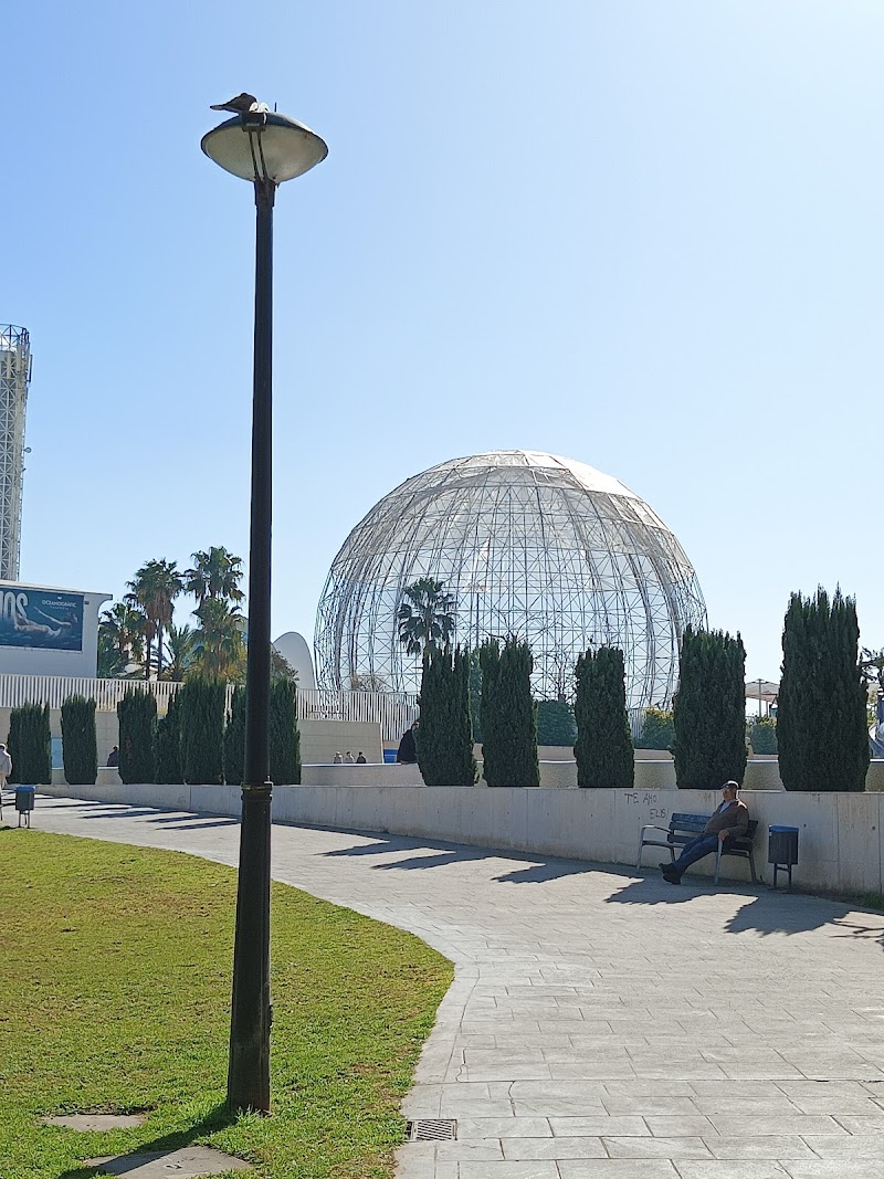 Centro de día GeroGarden — foto 7