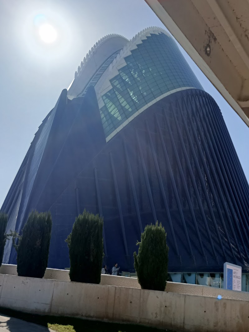 Centro de día GeroGarden — foto 8