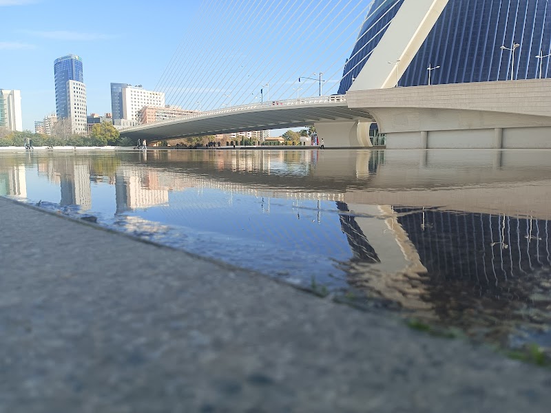 Centro de día GeroGarden — foto 9