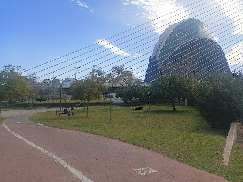Centro de día GeroGarden — foto 10