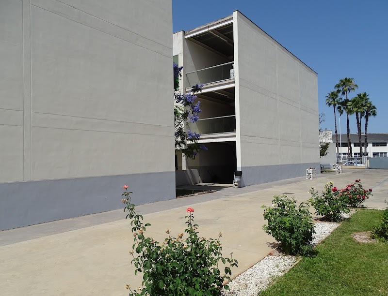 Servicio de estancia diurna Solimar Xàtiva — foto 7