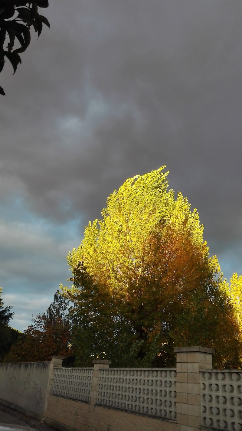 Unidad de estancias diurnas de la Residencia Santísima Trinidad