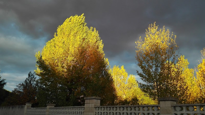 Unidad de estancias diurnas de la Residencia Santísima Trinidad — foto 2