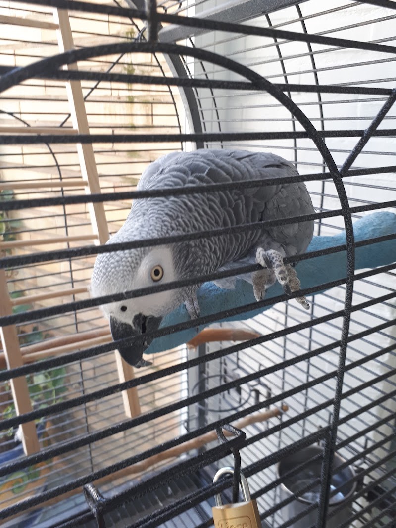 Centro de día de la Residencia Asistencial Los Ángeles — foto 3