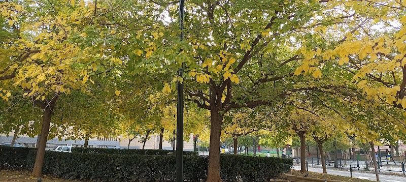 Centro de día de la Residencia Asistencial Los Ángeles — foto 8