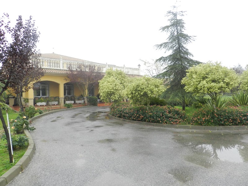 Aprende a Vivir Siglo XXI Alcalá de Guadaira — foto 5