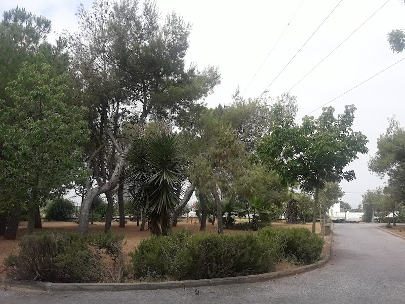 Aprende a Vivir Siglo XXI Alcalá de Guadaira — foto 7